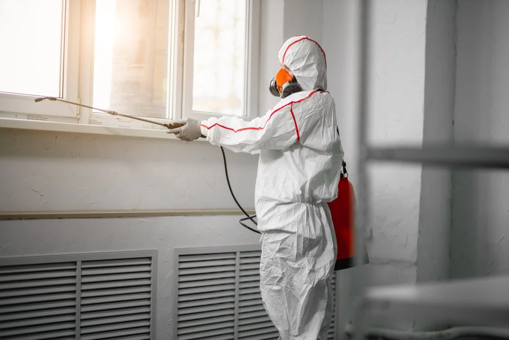 Professional mold remediation services in Lithopolis, OH